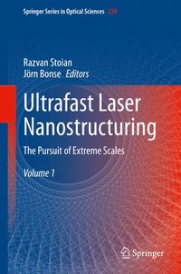 bokomslag Ultrafast Laser Nanostructuring