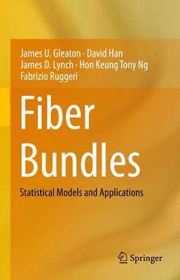 bokomslag Fiber Bundles