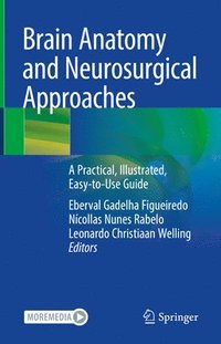 bokomslag Brain Anatomy and Neurosurgical Approaches