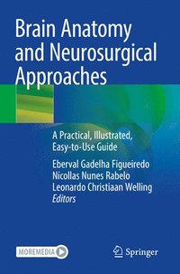 bokomslag Brain Anatomy and Neurosurgical Approaches