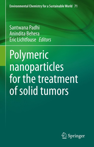 bokomslag Polymeric nanoparticles for the treatment of solid tumors