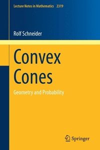 bokomslag Convex Cones