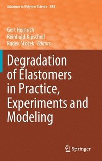 bokomslag Degradation of Elastomers in Practice, Experiments and Modeling