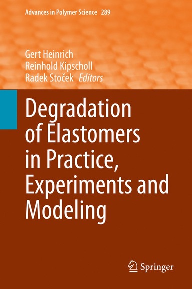 bokomslag Degradation of Elastomers in Practice, Experiments and Modeling