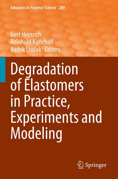 Gert Heinrich, Reinhold Kipscholl, Radek Stoček - Degradation of Elastomers in Practice, Experiments and Modeling, Häftad