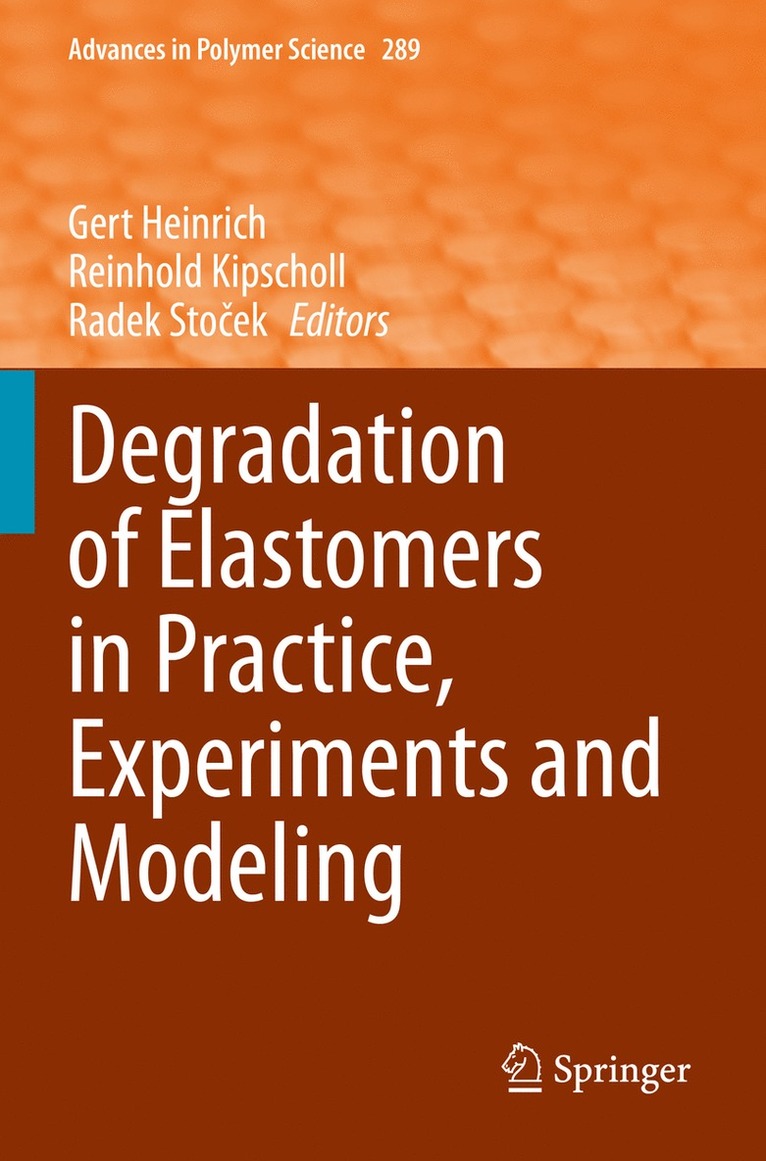 Gert Heinrich, Reinhold Kipscholl, Radek Stoček, Radek Stocek, Radek Sto¿ek - Degradation of Elastomers in Practice, Experiments and Modeling, Häftad