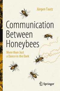 bokomslag Communication Between Honeybees