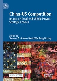 bokomslag China-US Competition