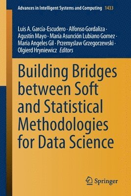 Building Bridges between Soft and Statistical Methodologies for Data Science 1