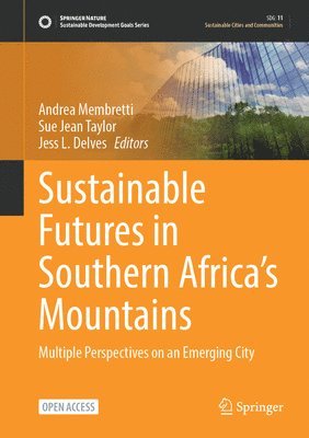 bokomslag Sustainable Futures in Southern Africa's Mountains