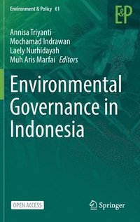 bokomslag Environmental Governance in Indonesia