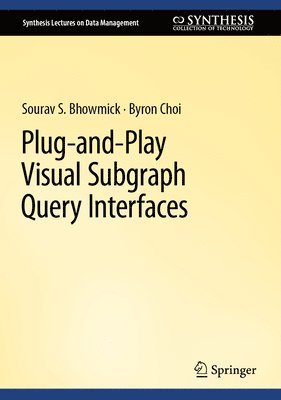 Plug-and-Play Visual Subgraph Query Interfaces 1