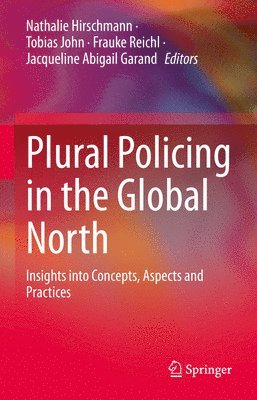 bokomslag Plural Policing in the Global North
