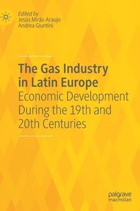 bokomslag The Gas Industry in Latin Europe