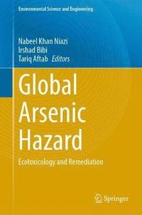 bokomslag Global Arsenic Hazard