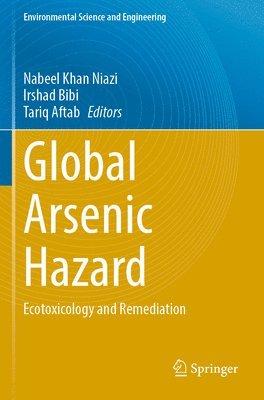 bokomslag Global Arsenic Hazard