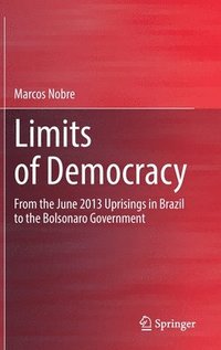 bokomslag Limits of Democracy