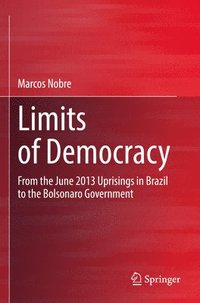 bokomslag Limits of Democracy