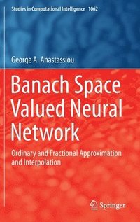 bokomslag Banach Space Valued Neural Network