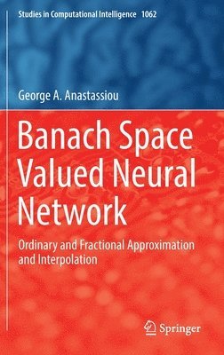 Banach Space Valued Neural Network 1