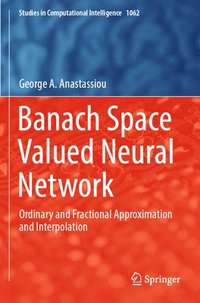 bokomslag Banach Space Valued Neural Network