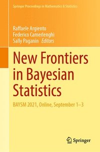 bokomslag New Frontiers in Bayesian Statistics