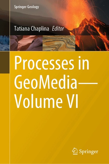 Tatiana Chaplina - Processes in GeoMedia—Volume VI, Inbunden
