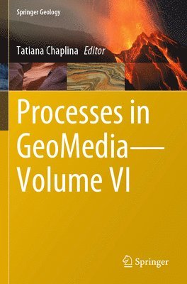 Tatiana Chaplina - Processes in GeoMedia—Volume VI, Häftad
