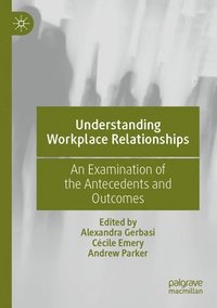 bokomslag Understanding Workplace Relationships
