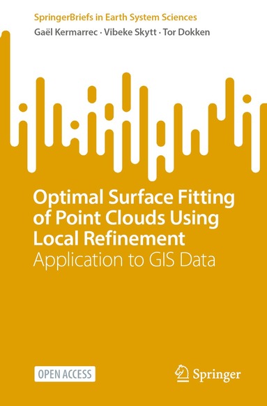 Gaël Kermarrec, Vibeke Skytt, Tor Dokken - Optimal Surface Fitting of Point Clouds Using Local Refinement, Häftad