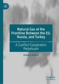 bokomslag Natural Gas at the Frontline Between the EU, Russia, and Turkey