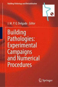 bokomslag Building Pathologies: Experimental Campaigns and Numerical Procedures