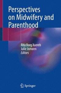 bokomslag Perspectives on Midwifery and Parenthood