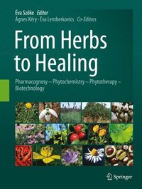 bokomslag From Herbs to Healing