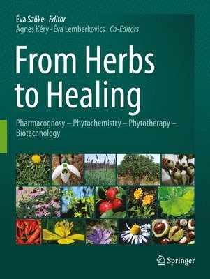 bokomslag From Herbs to Healing