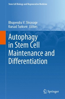 bokomslag Autophagy in Stem Cell Maintenance and Differentiation