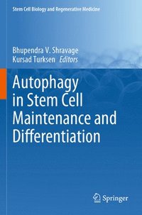 bokomslag Autophagy in Stem Cell Maintenance and Differentiation