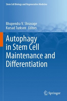 Autophagy in Stem Cell Maintenance and Differentiation 1