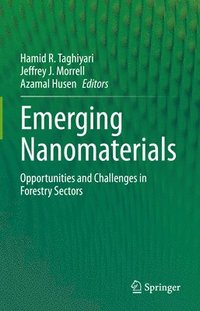bokomslag Emerging Nanomaterials