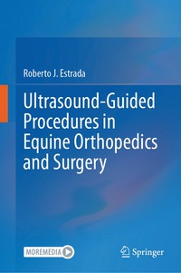 bokomslag Ultrasound-Guided Procedures in Equine Orthopedics and Surgery