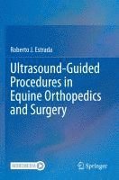 bokomslag Ultrasound-Guided Procedures in Equine Orthopedics and Surgery