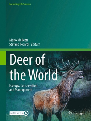 bokomslag Deer of the World