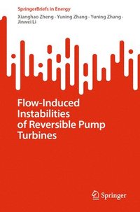 bokomslag Flow-Induced Instabilities of Reversible Pump Turbines