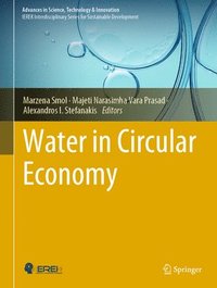 bokomslag Water in Circular Economy