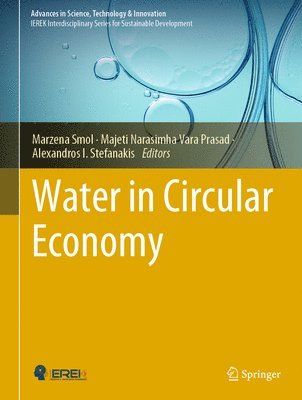 bokomslag Water in Circular Economy