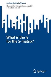 bokomslag What is the i? for the S-matrix?