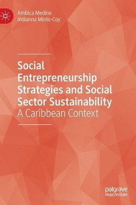 bokomslag Social Entrepreneurship Strategies and Social Sector Sustainability