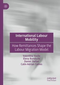 bokomslag International Labour Mobility