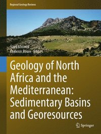 bokomslag Geology of North Africa and the Mediterranean: Sedimentary Basins and Georesources