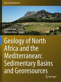 bokomslag Geology of North Africa and the Mediterranean: Sedimentary Basins and Georesources